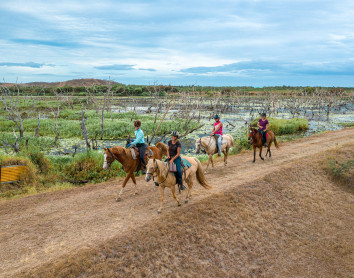 horse riding horse riding