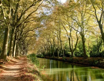 Canal de Toulouse Canal Dumidi Toulouse Nature Fleuve